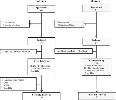 Boosting the VZV-Specific Memory B and T Cell Response to Prevent Herpes Zoster After Kidney Transplantation